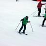 IMG7041