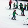 IMG7043